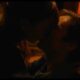 Daisy Edgar Jones Sebastian Stan Fresh Kissing Scene