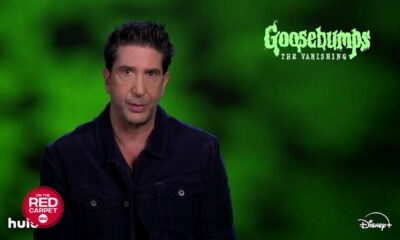 David Schwimmer Goosebumps The Vanishing Set