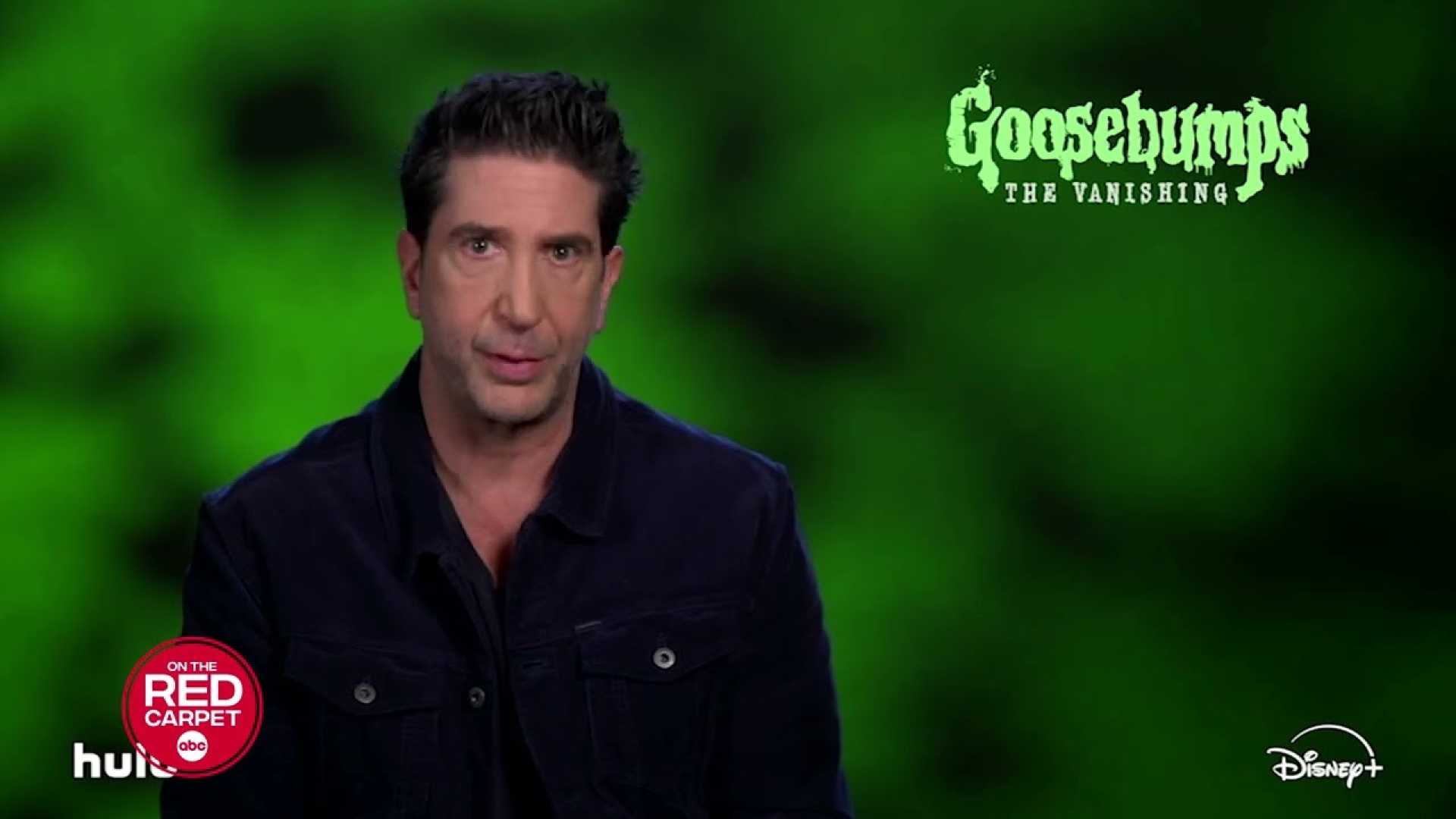 David Schwimmer Goosebumps The Vanishing Set