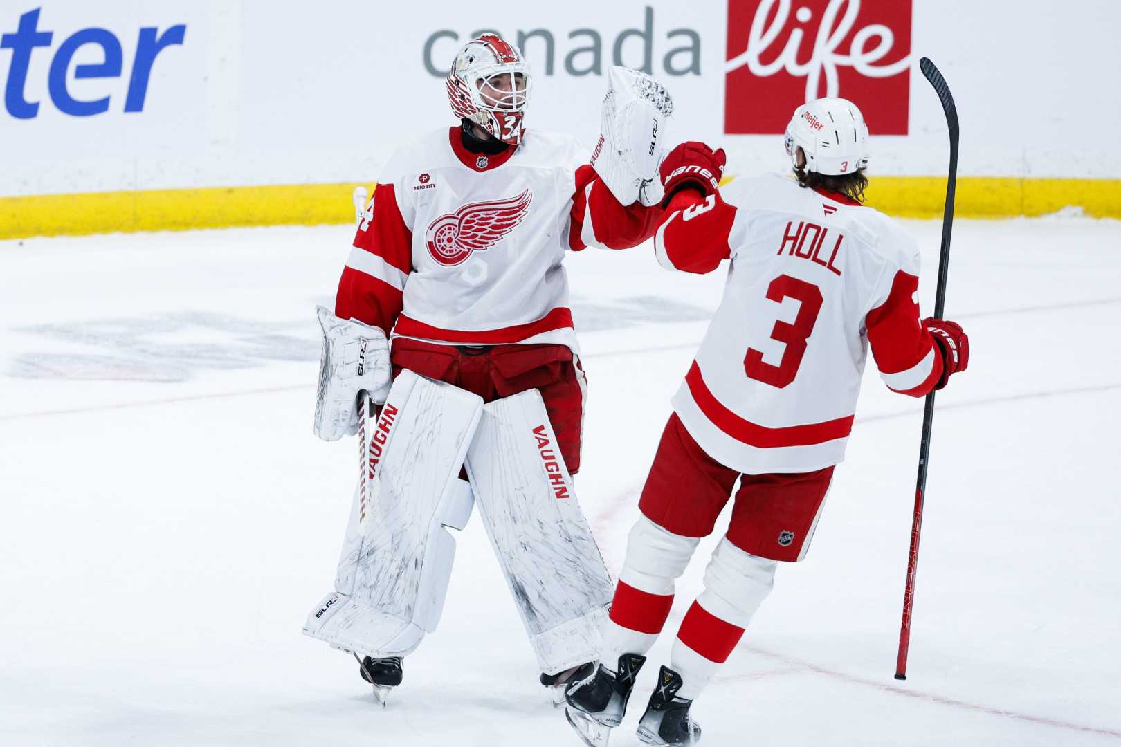 Detroit Red Wings Todd Mclellan Nhl Game