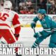 Detroit Red Wings Vs San Jose Sharks Hockey Game