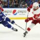 Detroit Red Wings Vs Tampa Bay Lightning Hockey Game