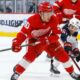 Dominik Shine Detroit Red Wings 2025