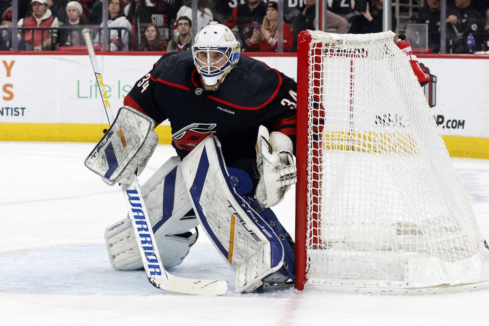 Dustin Tokarski Nhl Game Action