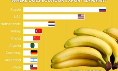 Ecuador Banana Export Noboa Family