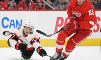 Elmer Soderblom Detroit Red Wings Game Action