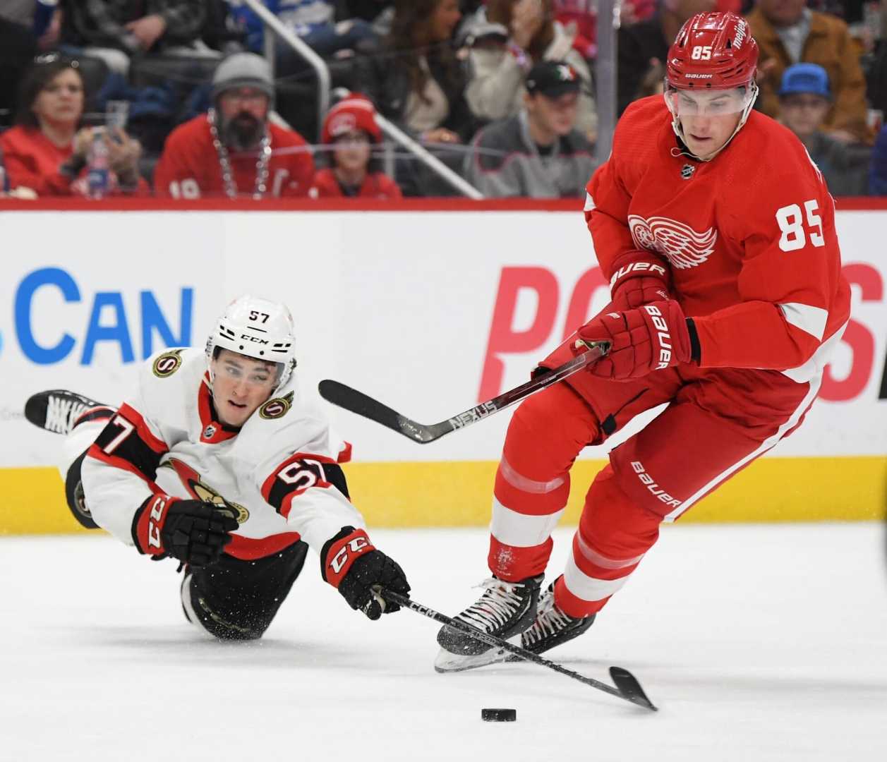 Elmer Soderblom Detroit Red Wings Game Action