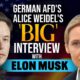 Elon Musk Alternative For Germany Alice Weidel