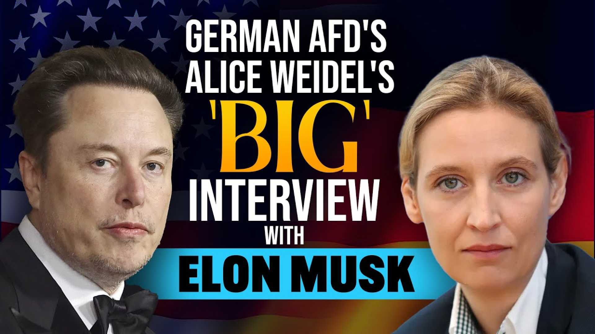 Elon Musk Alternative For Germany Alice Weidel