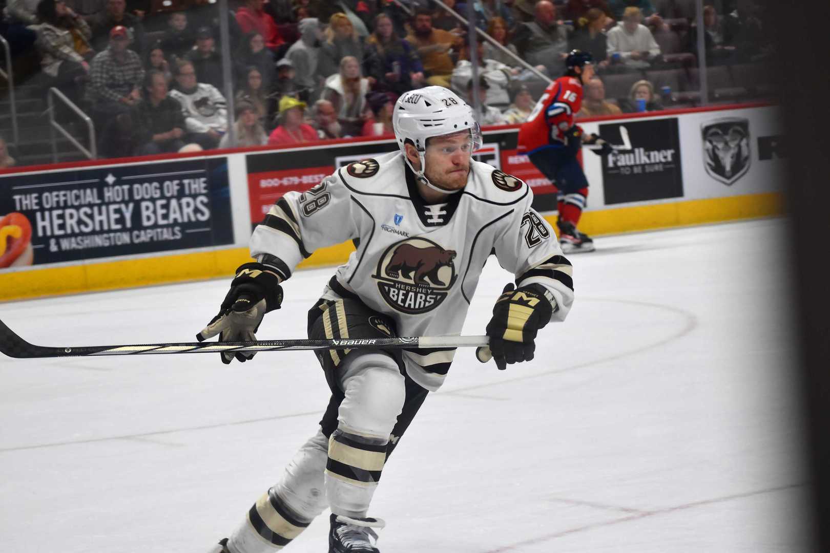 Ethen Frank Washington Capitals Hershey Bears