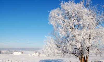 Frozen Landscape Northeast Ohio Winter