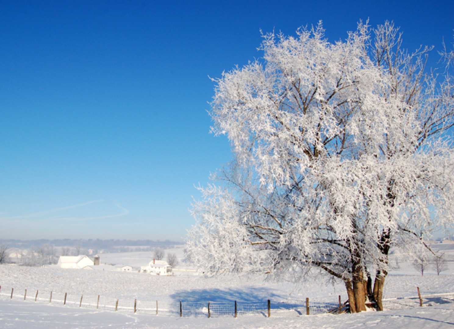 Frozen Landscape Northeast Ohio Winter