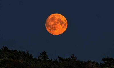 Full Wolf Moon With Mars Occultation 2025