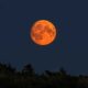 Full Wolf Moon With Mars Occultation 2025