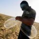 Gaza Strip Condom Balloons Israel Border Conflict