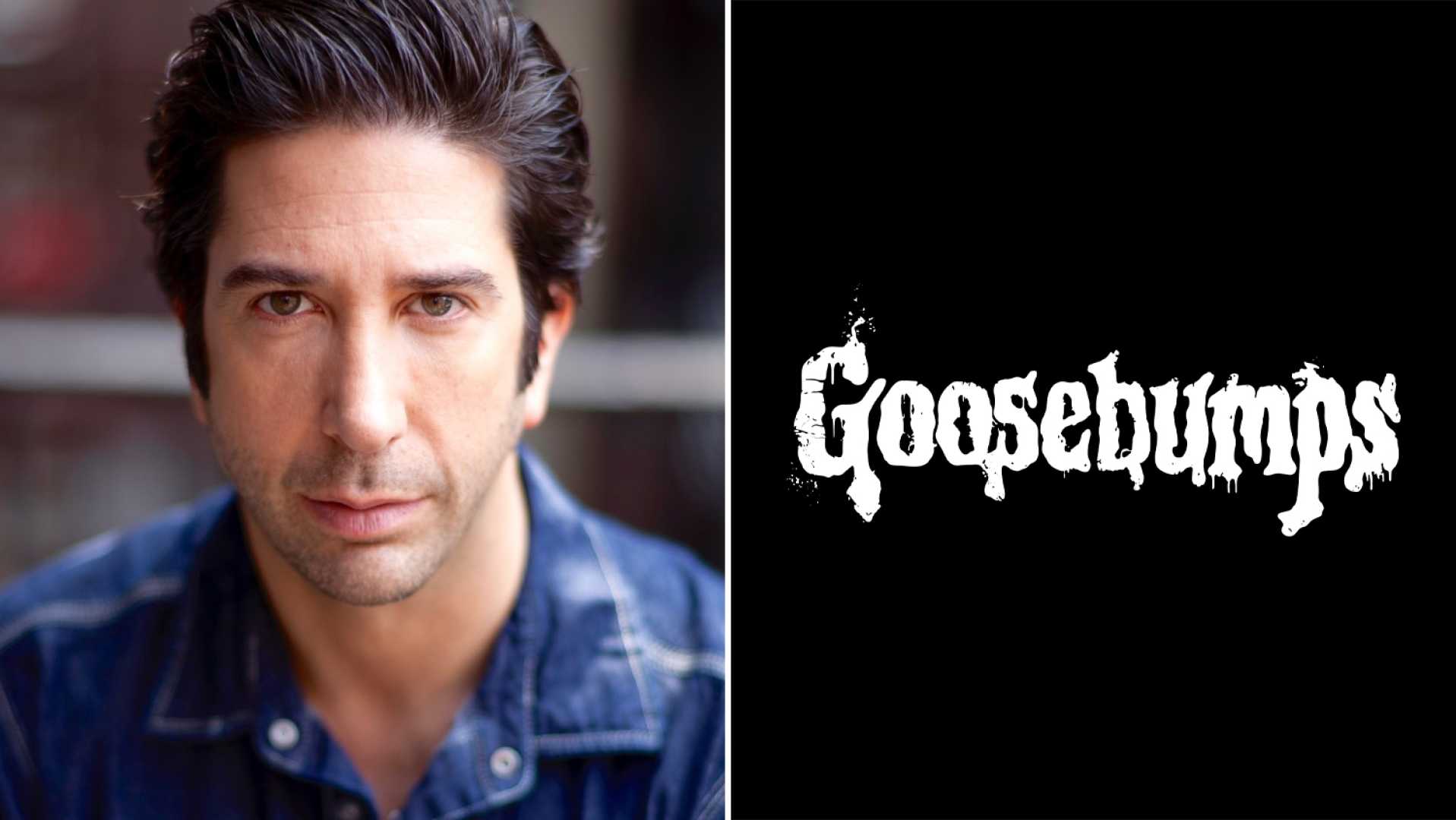 Goosebumps Season 2 Disney+ David Schwimmer