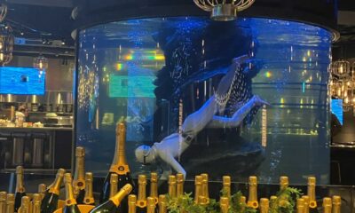 Grand Hammer Tokyo Aquarium Ama Divers