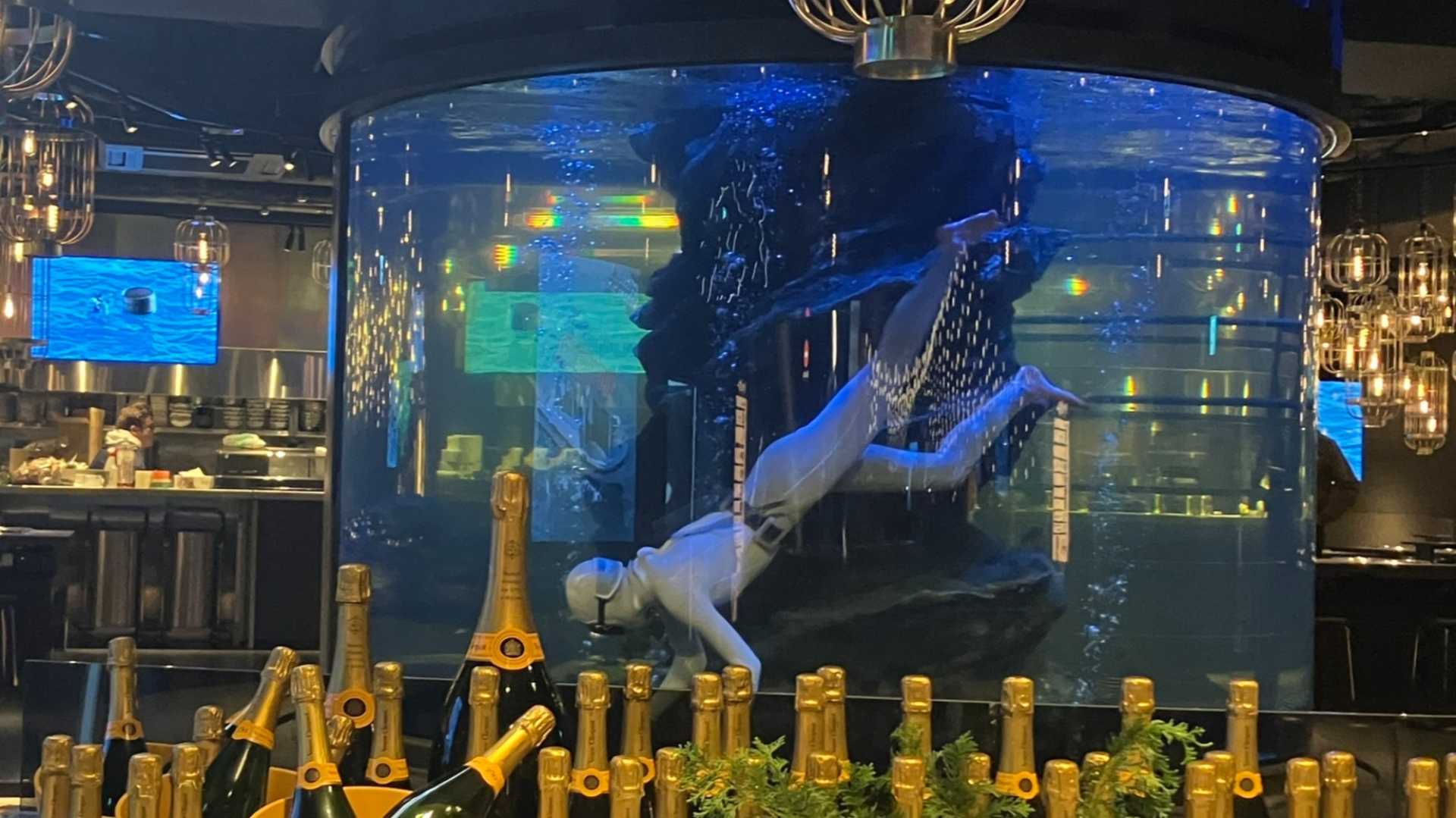 Grand Hammer Tokyo Aquarium Ama Divers