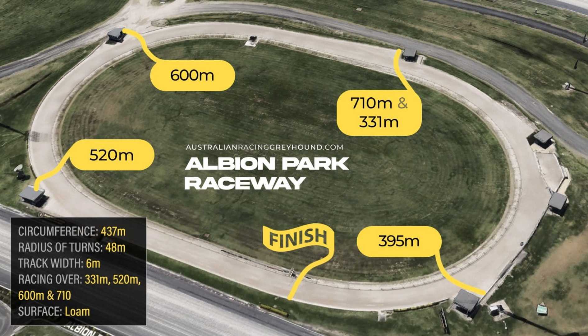 Greyhound Racing At Albion Park Track