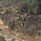 Griffith Park Grass Fire Aerial View