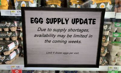 Grocery Store Egg Prices Bird Flu 2023