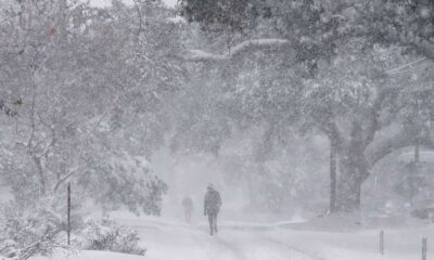 Gulf Coast Winter Storm 2025 Snow Damage