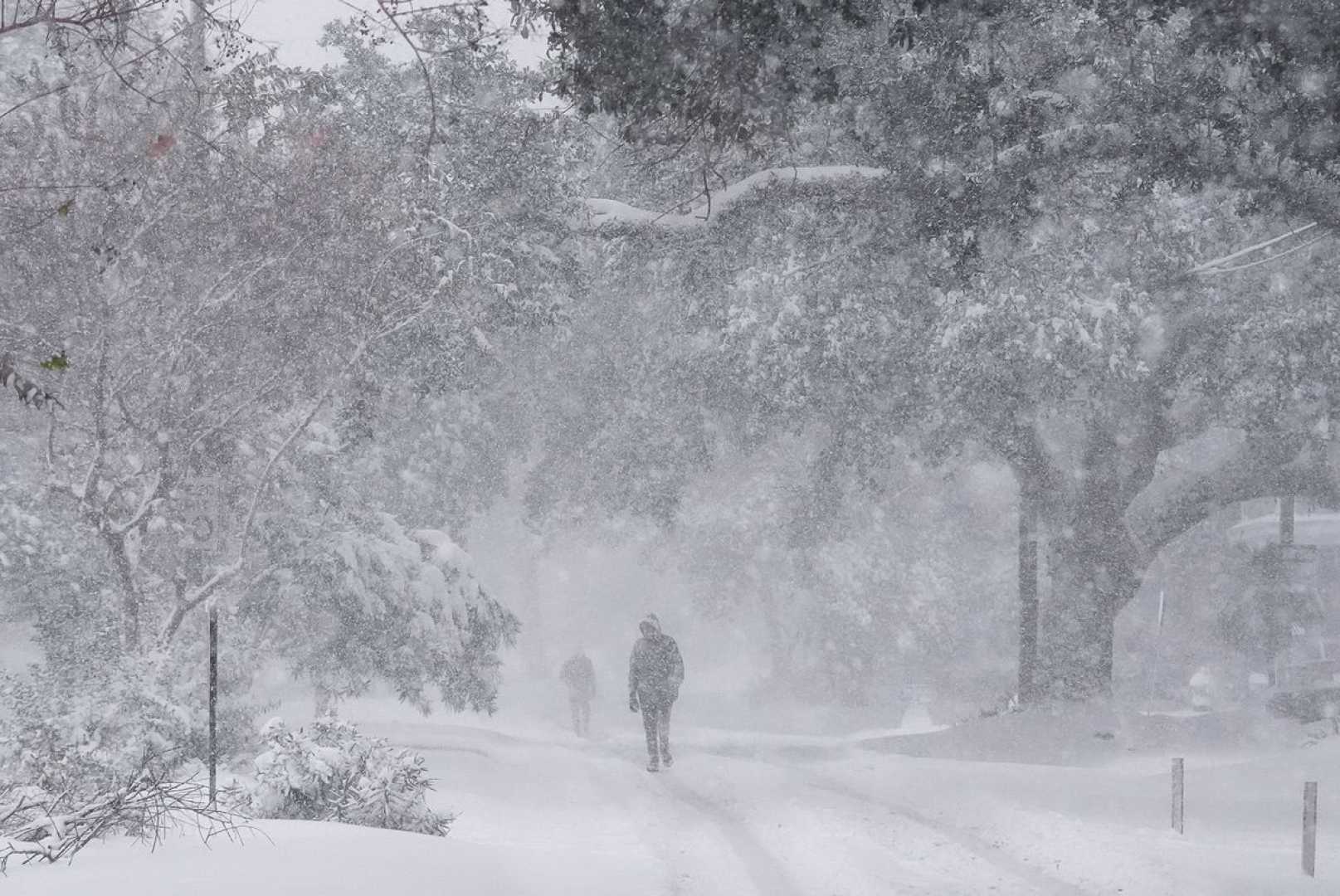 Gulf Coast Winter Storm 2025 Snow Damage