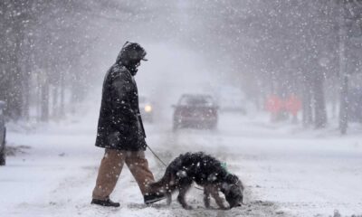 Heavy Snowfall Central New York January 2025