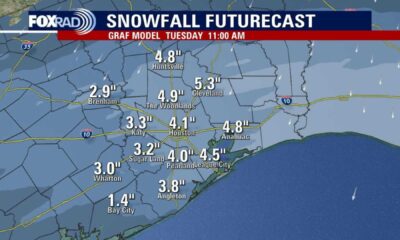 Houston Winter Storm Road Closures 2025