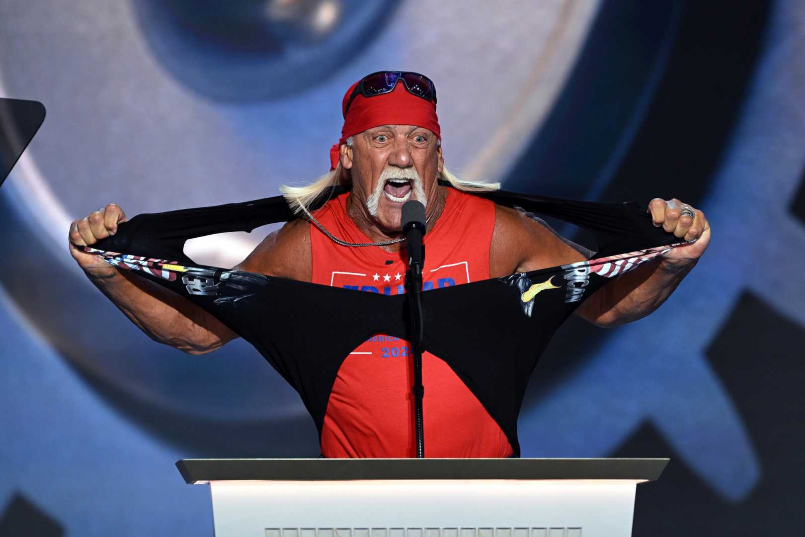 Hulk Hogan Fox News Interview January 2025