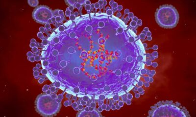 Human Metapneumovirus Hmpv Respiratory Infection