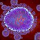 Human Metapneumovirus Hmpv Respiratory Infection