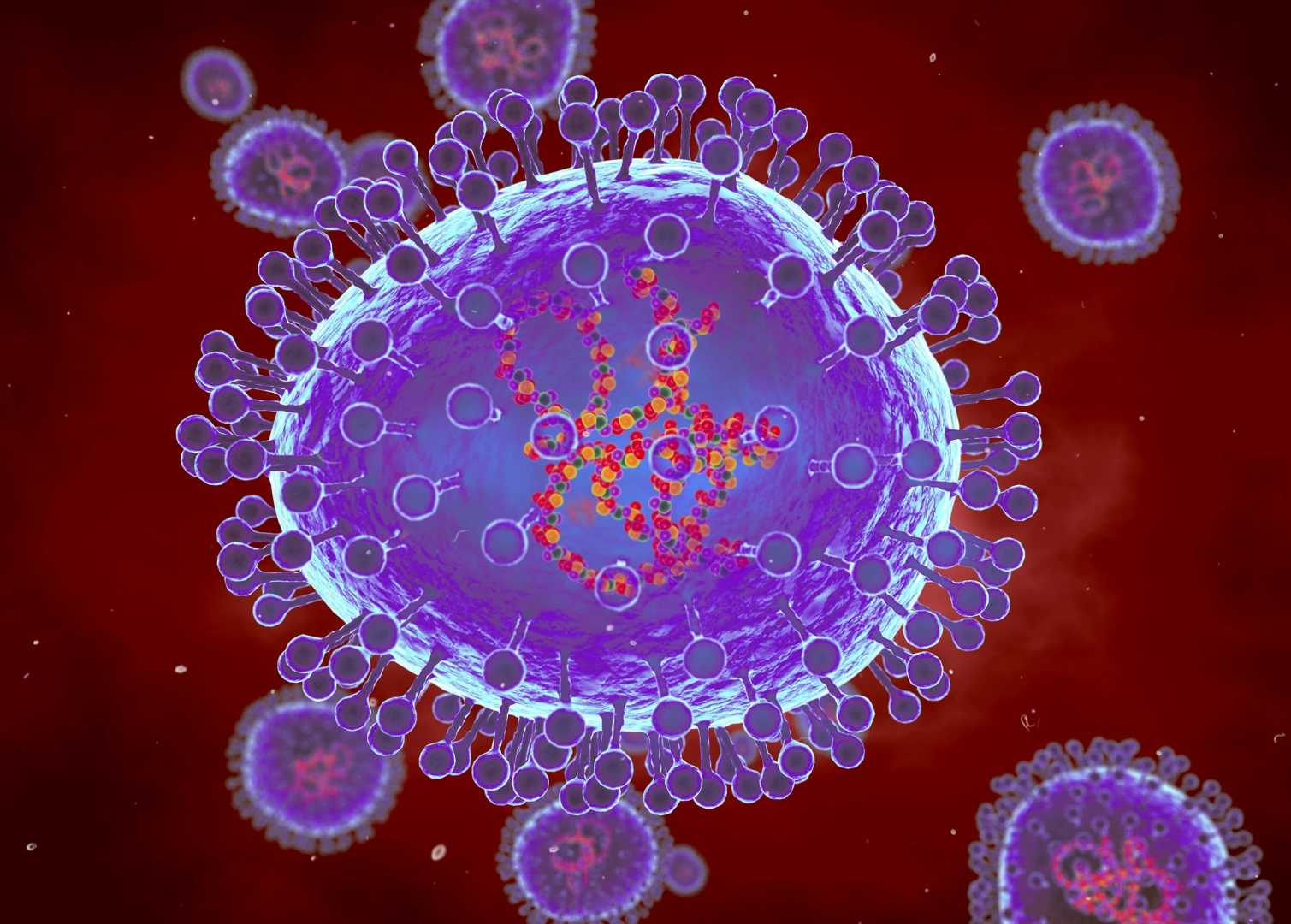 Human Metapneumovirus Hmpv Respiratory Infection