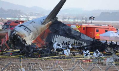 Jeju Air Crash Muan International Airport Bird Strike