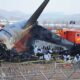 Jeju Air Crash Muan International Airport Bird Strike