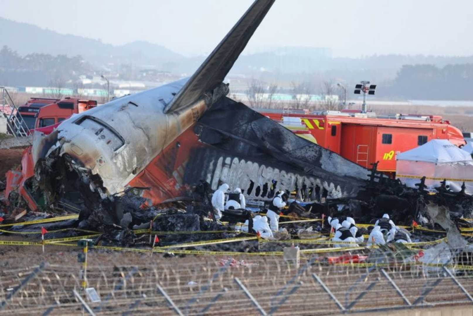 Jeju Air Crash Muan International Airport Bird Strike