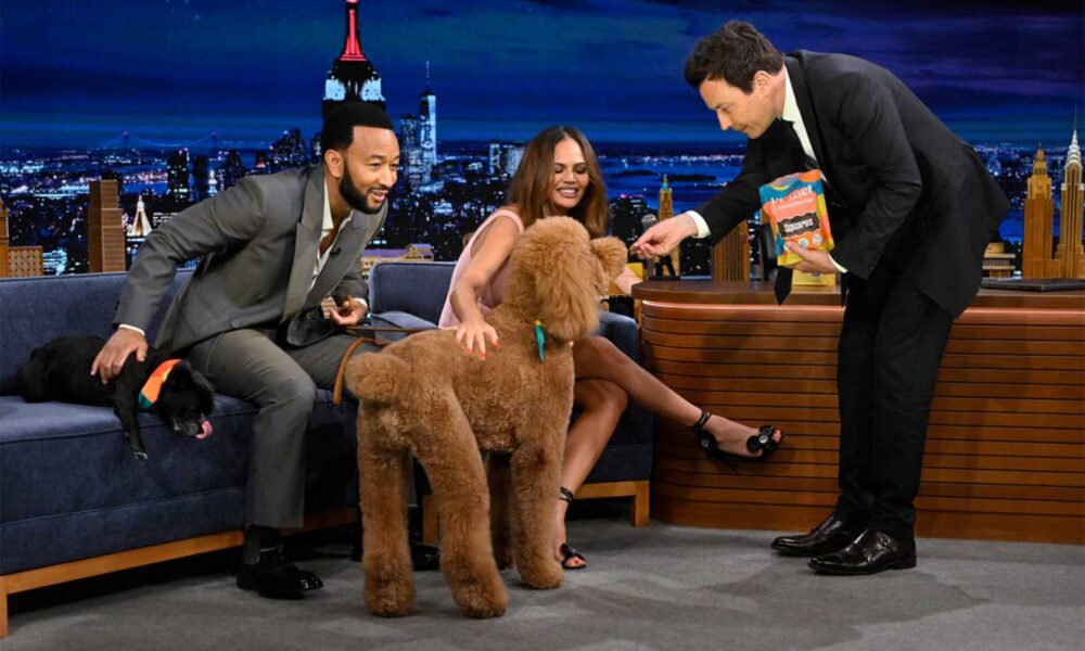 John Legend and Chrissy Teigen Mourn Beloved Three-Legged Dog Penny