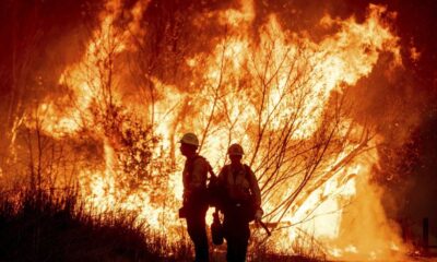 Los Angeles Wildfire Destruction 2025