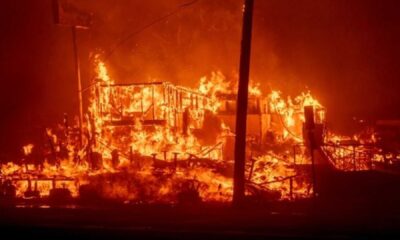 Los Angeles Wildfires 2025 Destruction Pacific Palisades