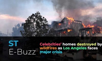 Los Angeles Wildfires Celebrity Homes Destruction