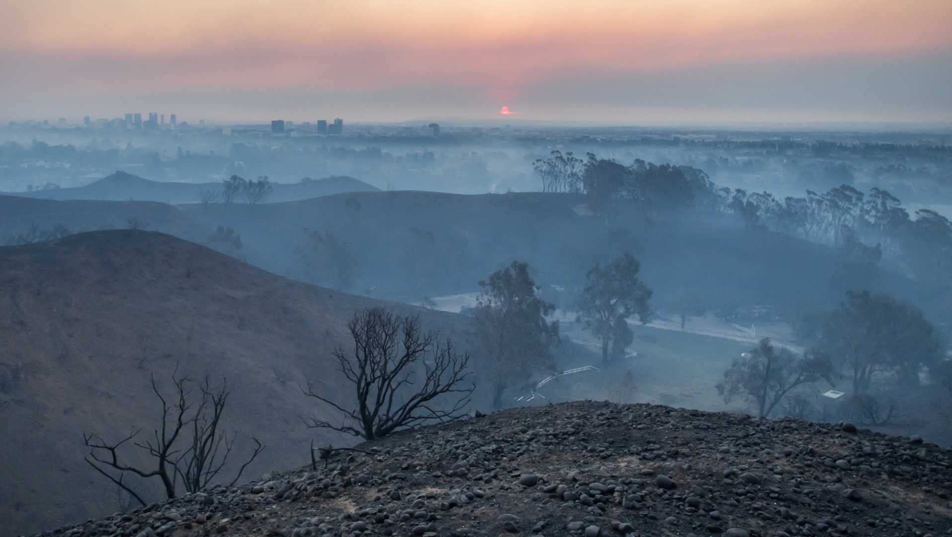 Los Angeles Wildfires Tv Production Pause