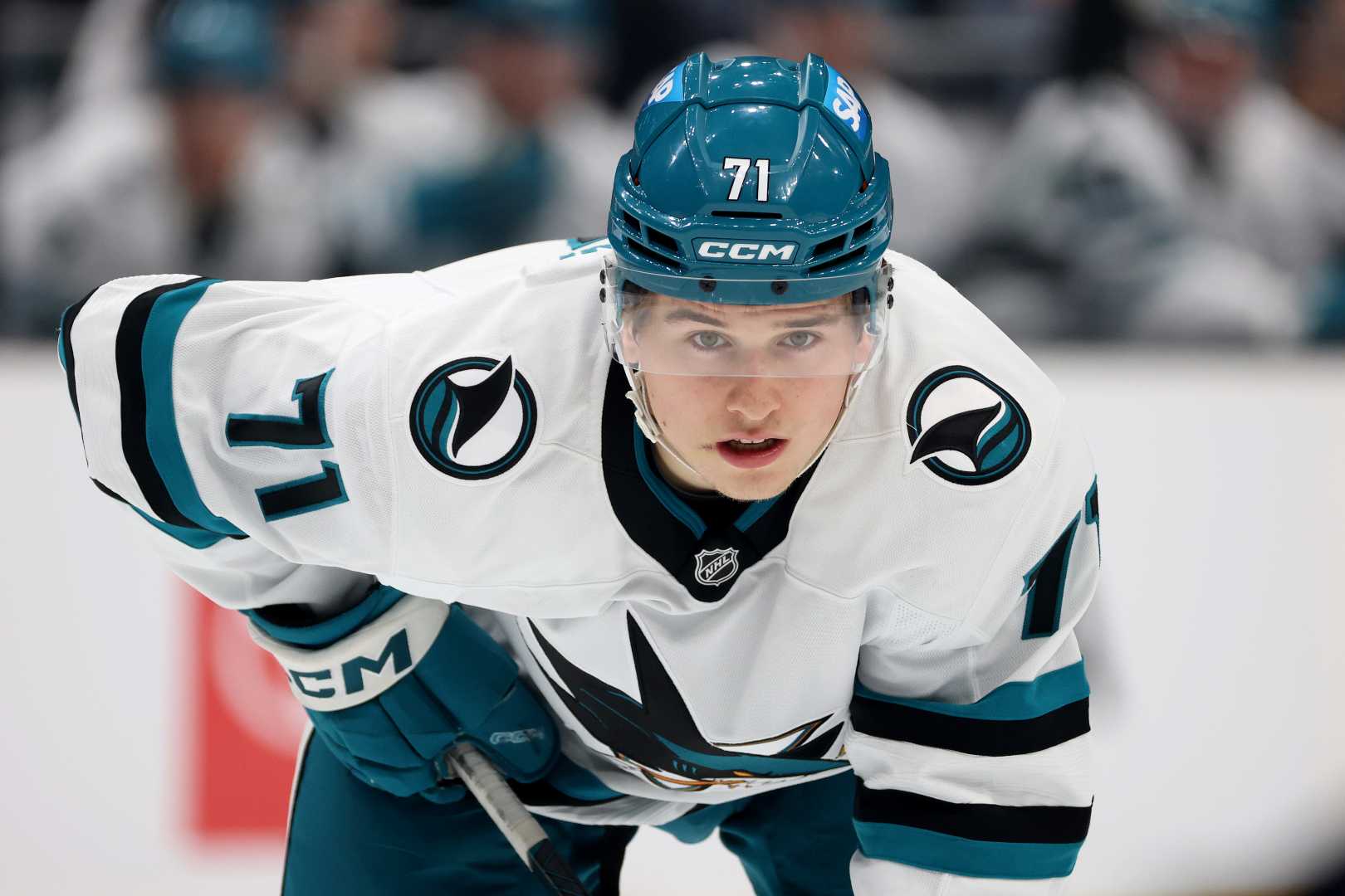 Macklin Celebrini San Jose Sharks Rookie Nhl