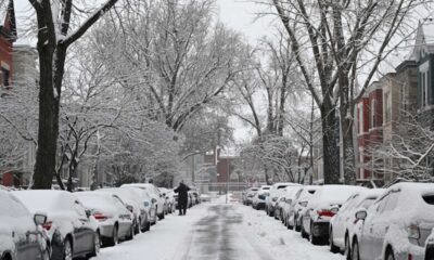 Maryland Snow Showers January 2025