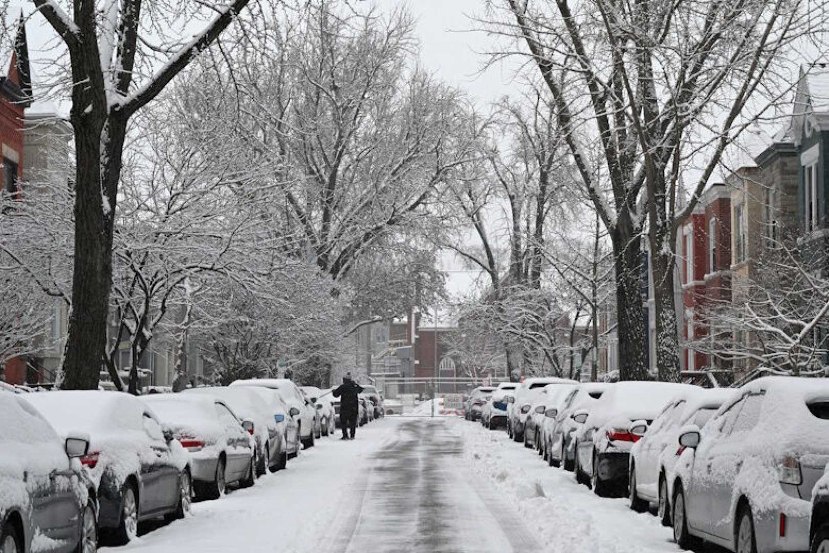 Maryland Snow Showers January 2025