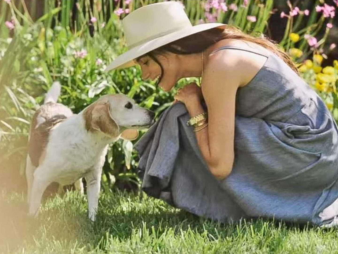 Meghan Markle Rescue Dog Guy Tribute Photos