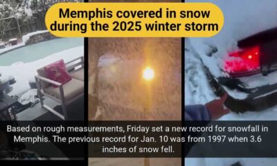 Memphis Tennessee Snowstorm January 2025