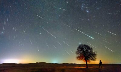 Meteor Shower Night Sky