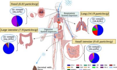 Microplastics In Human Lungs And Colon