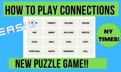 New York Times Connections Word Game Grid