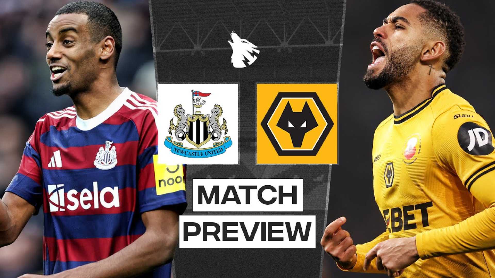 Newcastle United Vs Wolverhampton Wanderers Premier League Match